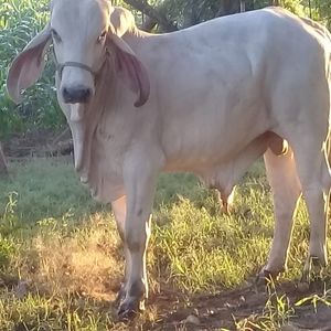 Meet your Posher, Roberto cruz